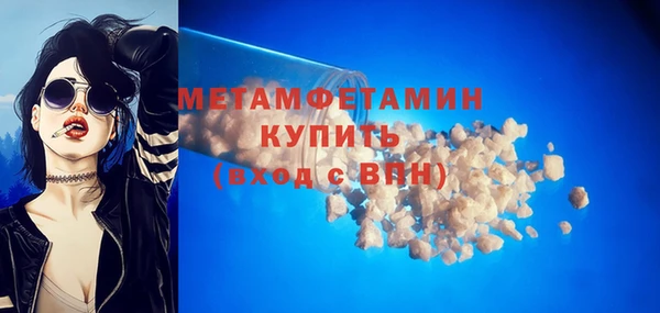 прущие грибы Сафоново