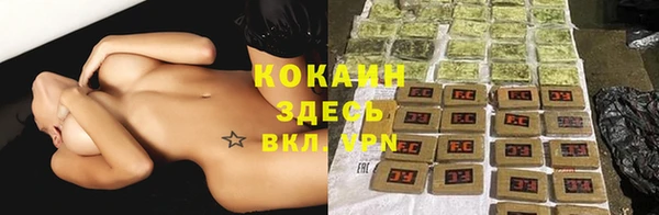 круглые Аркадак