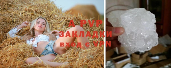 круглые Аркадак